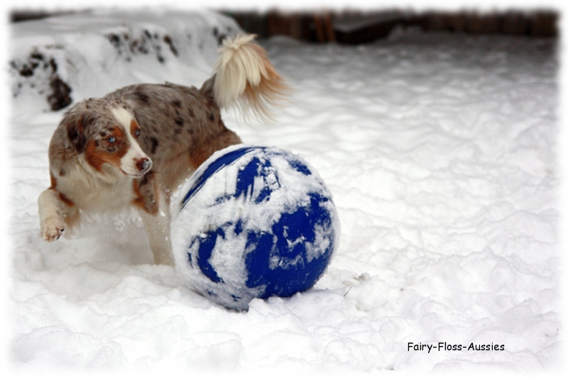 Fairy-Floss   Everglades Summer Breeze (Hazel)