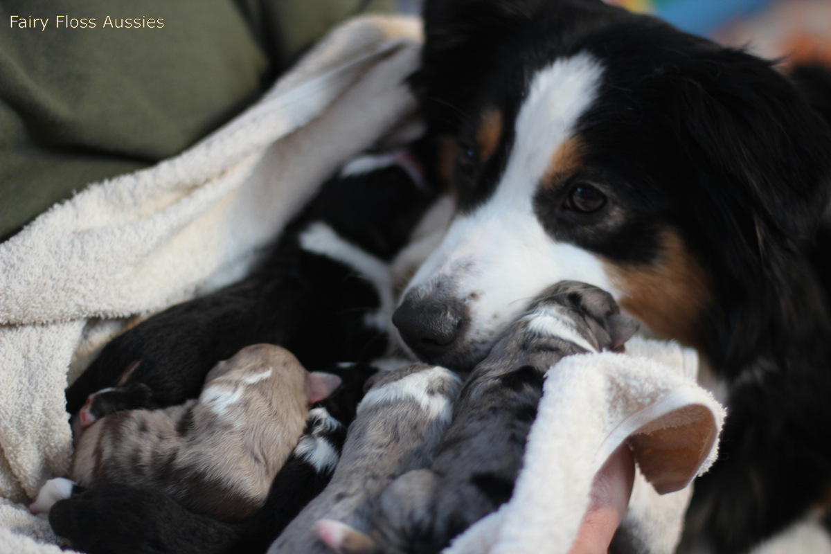 Celebrity Ward's Heartbreaker Tiff